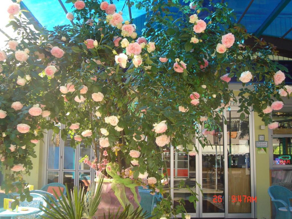 ליגננו סביאדורו Hotel Da Giovanna מראה חיצוני תמונה